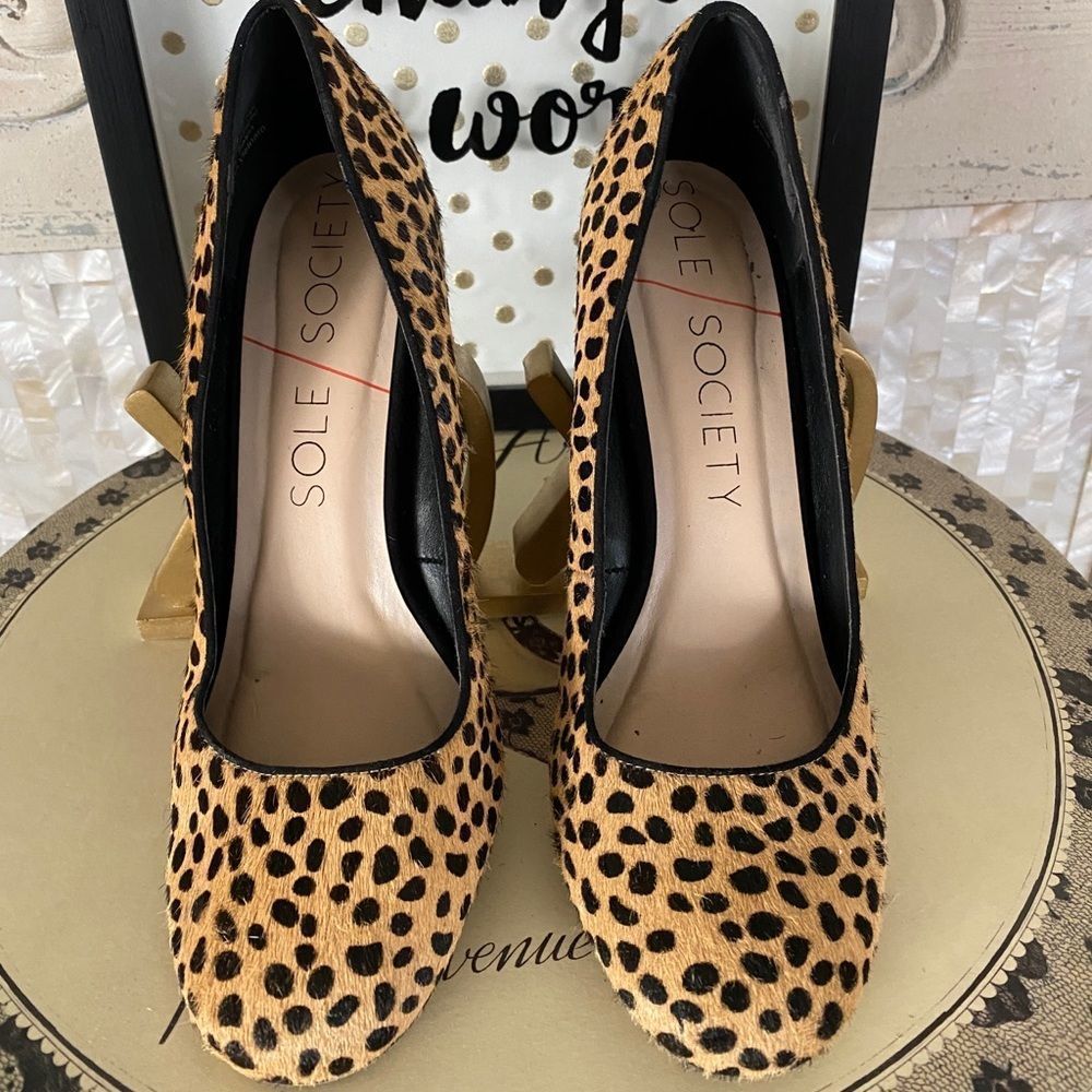 Sole Society Giselle Leopard Pumps
